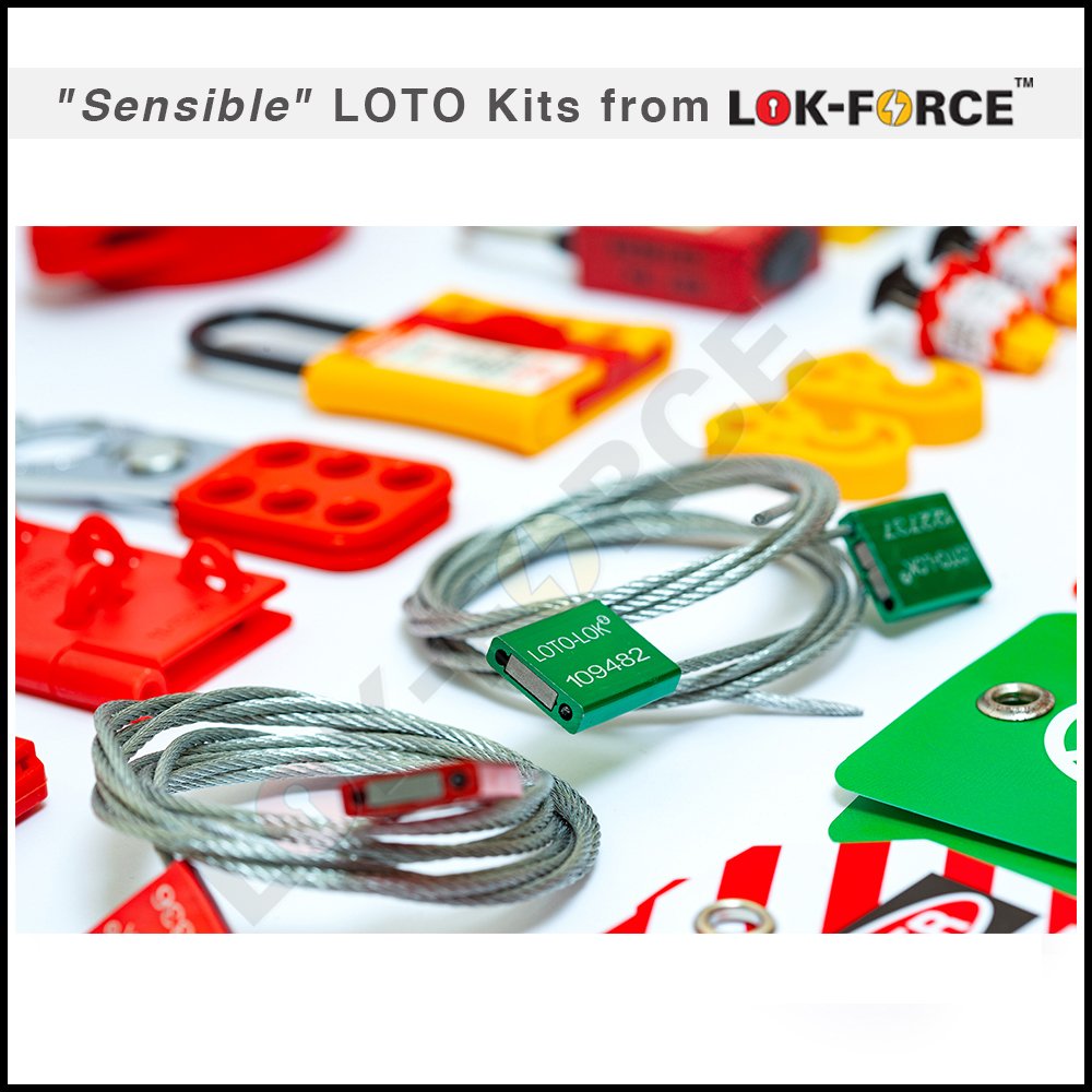 RED_&_GREEN_CAR_SEALS_IN_ELECTRO_MECHANICAL_SMALL_LOTO_KIT _LOKT ELMEMN-501
